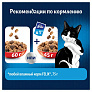 Корм для кошек Felix Двойная вкуснятина 3кг с мясом